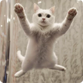 0069de.png