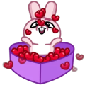 06bd02.png