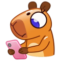 162b89.png