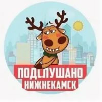 Нижнекамск в MAX