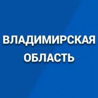 Владимирская область в MAX