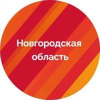 Правительство Новгородской области в MAX