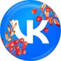 ВКонтакте для бизнеса в MAX