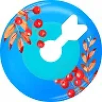 VK Реклама в MAX