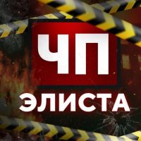 Чп Элиста / Калмыкия новости в MAX