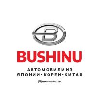 BUSHINUAUTO в MAX
