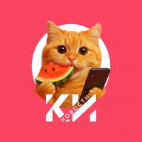 Краснодарские известия в MAX