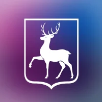 Правительство Нижегородской области в MAX