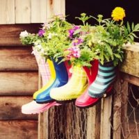 Дачные советы. Сад и огород в MAX