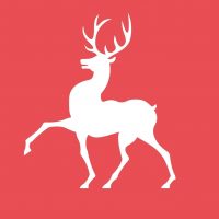 Новости Нижегородской области | ОКА24 в MAX