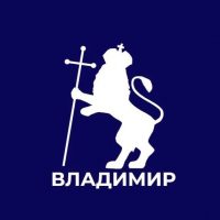 Администрация города Владимира в MAX
