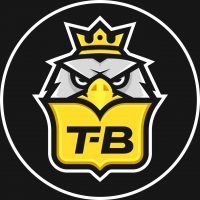 Т-Воронеж | Типичный | Новости Воронежа в MAX