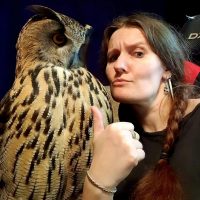 Филин Ёль & Ko.фе с совой Yoll в MAX