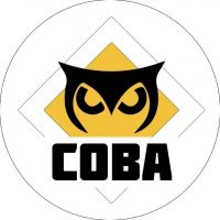 СОВА ПЕНЗА АВТО в MAX