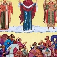 Виктор Водолацкий в MAX