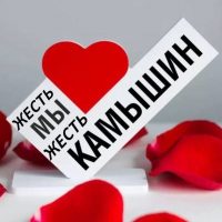 Жесть. Камышин в MAX