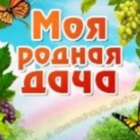 Моя Родная Дача в MAX