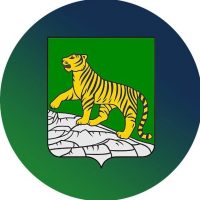 Администрация Владивостока в MAX