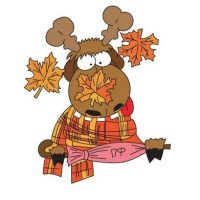 ФЕОДОСИЯ | ПОДСЛУШАНО | КРЫМ в MAX