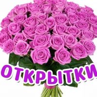 Поздравления и открытки в MAX