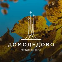Администрация городского округа Домодедово в MAX