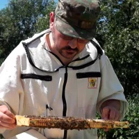 Пчеловедение в MAX