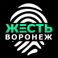 Жесть Воронеж в MAX