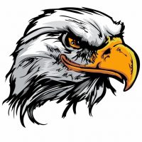 Блог Дагестана в MAX