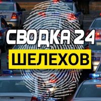 Сводка Шелехов в MAX