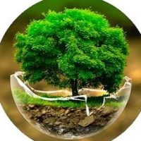 Удивительный мир в MAX