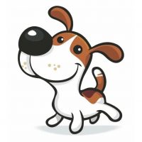 Шерстяной дружок | Собаки в MAX