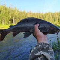 Это не диалоги о рыбалке.Жизнь и рыбалка в Сибири. в MAX