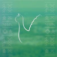 Администрация МР «Сосногорск» в MAX