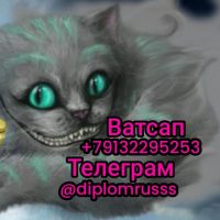 Диплом по жизни в MAX