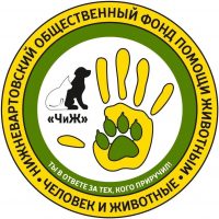 Фонд помощи БЕЗДОМНЫМ животным ЧиЖ в MAX