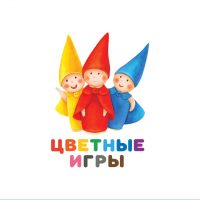 Деревянные развивающие игрушки «Цветные игры» в MAX