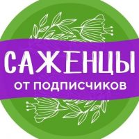 ЦРС СОБЫТИЯ в MAX