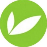 ЦВЕТОТЕКА. Доставка цветов СПб в MAX