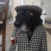 скачать в MAX