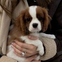 Эстетика и красота в MAX