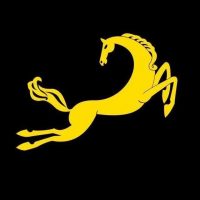 Каневская Жесть в MAX