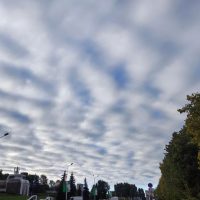 Анна Кульчицкая в MAX