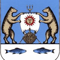 Новгородский муниципальный район в MAX