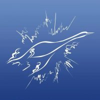 Институт биосенсорной психологии в MAX