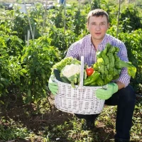 О Фазенде. Загородная жизнь в MAX