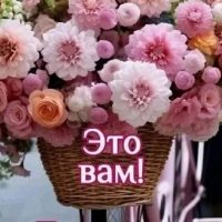 Лучшие ОТКРЫТКИ и ПОЗДРАВЛЕНИЯ в MAX