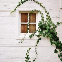 Переделка мебели и аксессуаров Рестов-Ростов в MAX