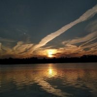 ДТП и ЧП | Ленинградская область Он-Лайн | СПб в MAX