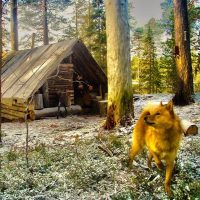 Охотники и рыболовы | Таёжная романтика ® в MAX