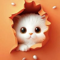 Пожелания и открытки в MAX